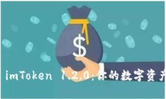 全面解析 imToken 1.2.0：你的数字资产管理利器
