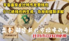 区块链操盘手：解密新兴市场中的专业投资者