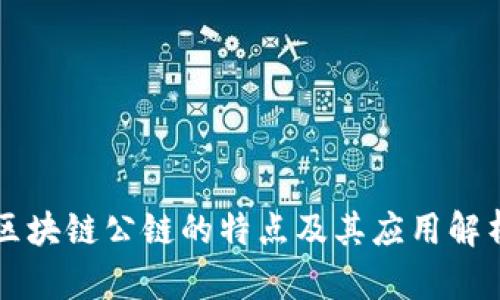 区块链公链的特点及其应用解析